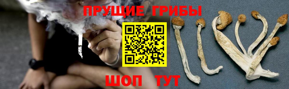 Галлюциногенные грибы Cubensis  Вход с VPN  Красноармейск 